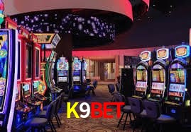 K9BET Brasília - Leaderboards