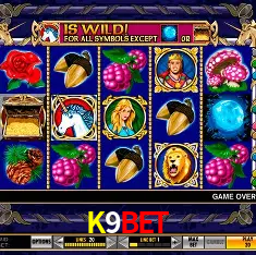 K9BET Belo Horizonte - Reivindique Bonus